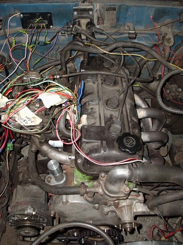 http://toyotacover.50megs.com/EFI/NoDizzy.jpg